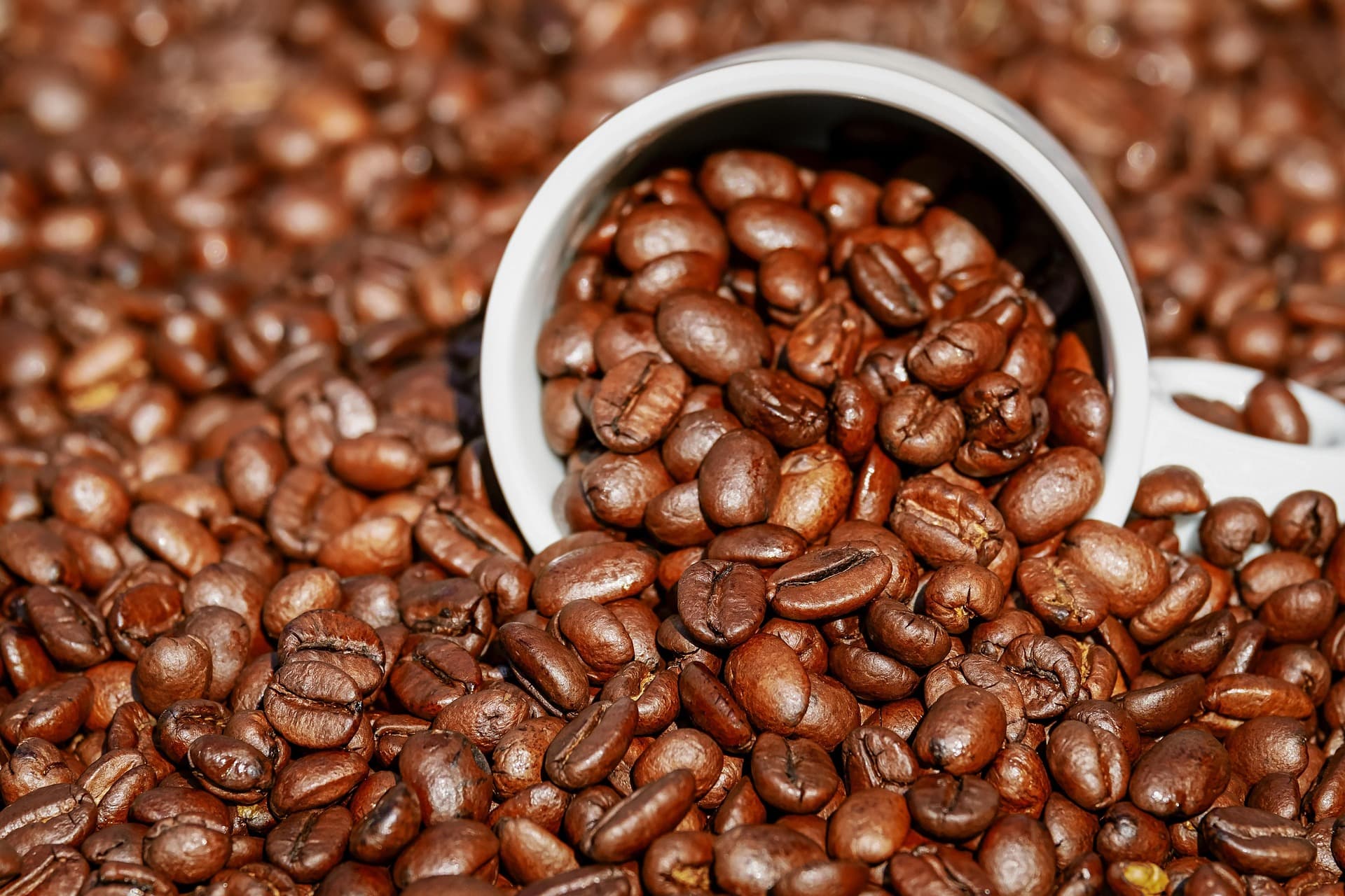 Food & Beverage industry